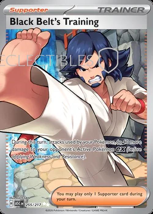 Pokemon Ascended Heroes 255/217 Black Belts Training