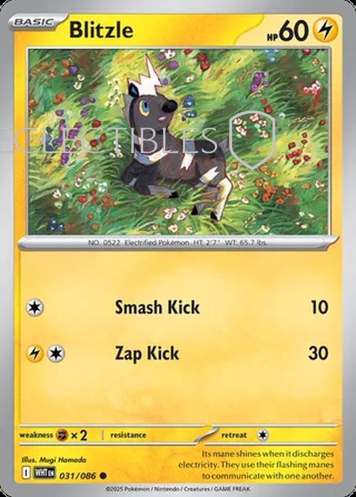 Pokemon White Flare 031/086 Blitzle Reverse Holo