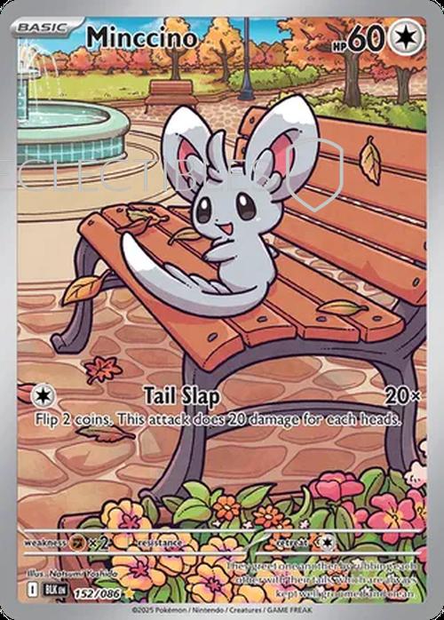 Pokemon Black Bolt 152/086 Minccino