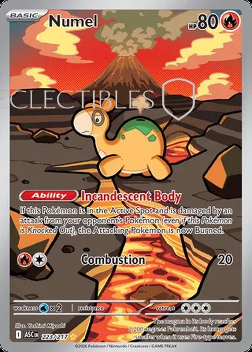 Pokemon Ascended Heroes 223/217 Numel