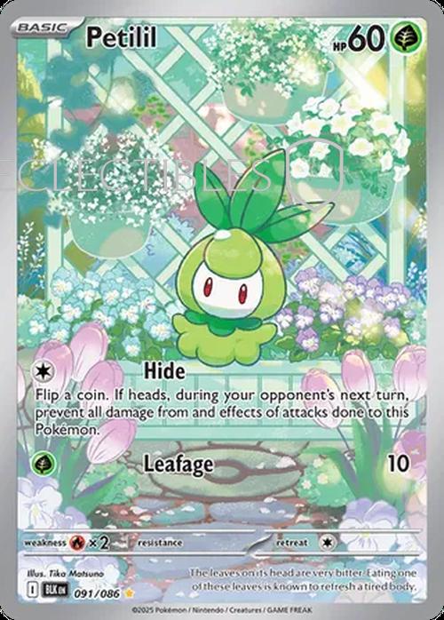 Pokemon Black Bolt 091/086 Petilil