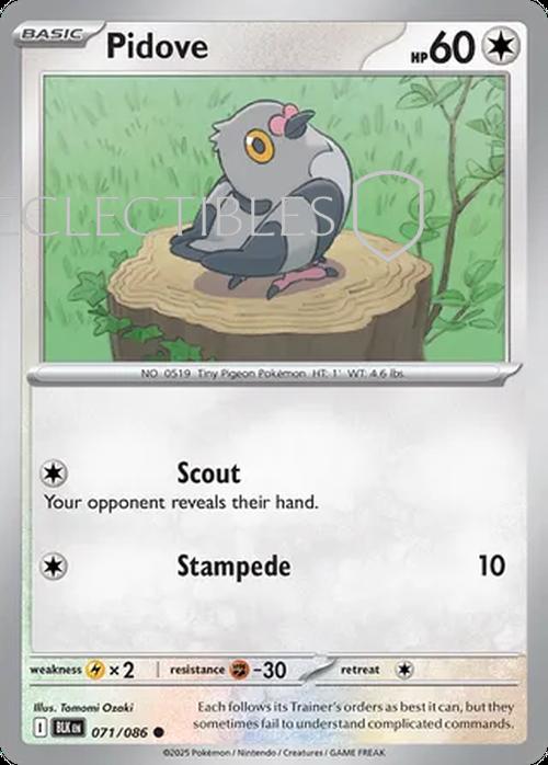 Pokemon Black Bolt 071/086 Pidove Reverse Holo