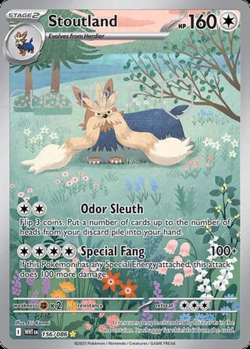 Pokemon White Flare 156/086 Stoutland