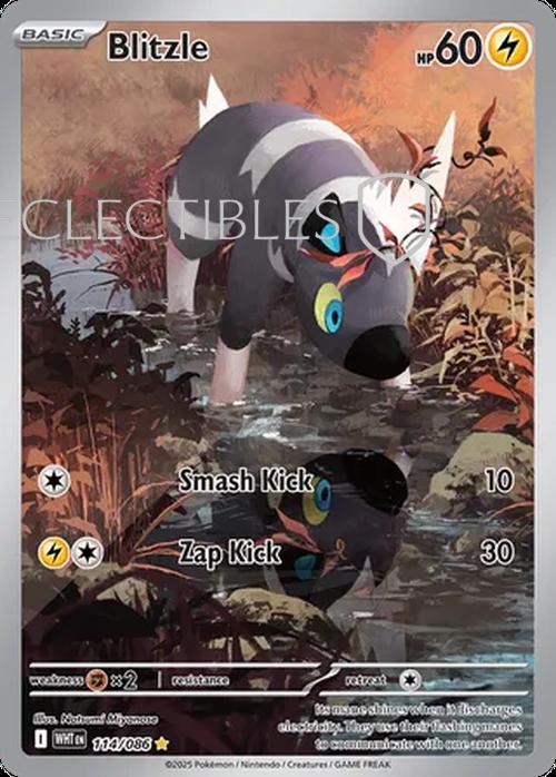Pokemon White Flare 114/086 Blitzle 