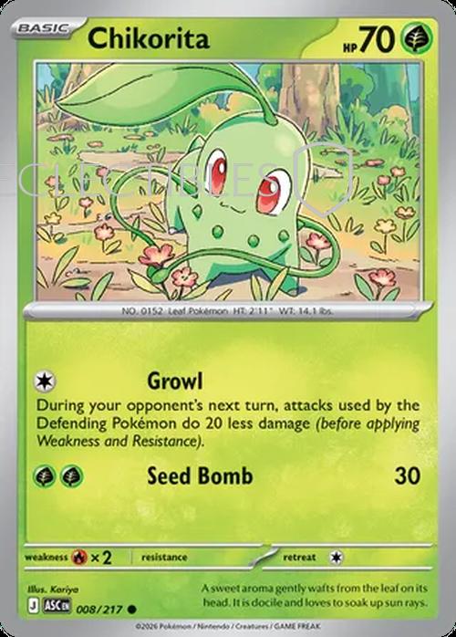 Pokemon Ascended Heroes 008/217 Chikorita  Reverse Holo
