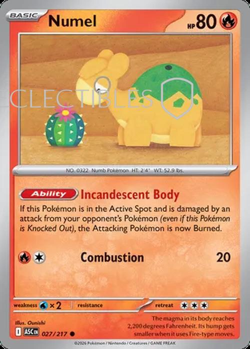 Pokemon Ascended Heroes 027/217 Numel  Reverse Holo