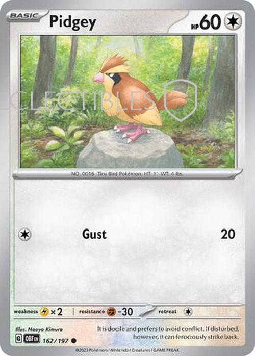 Pokemon Obsidian Flame 162/197 Pidgey  Reverse Holo