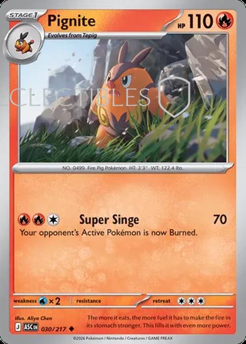 Pokemon Ascended Heroes 030/217 Pignite  Reverse Holo