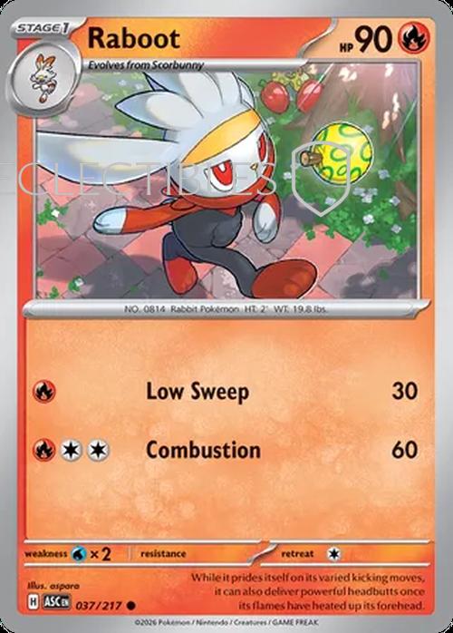 Pokemon Ascended Heroes 037/217 Raboot  Reverse Holo