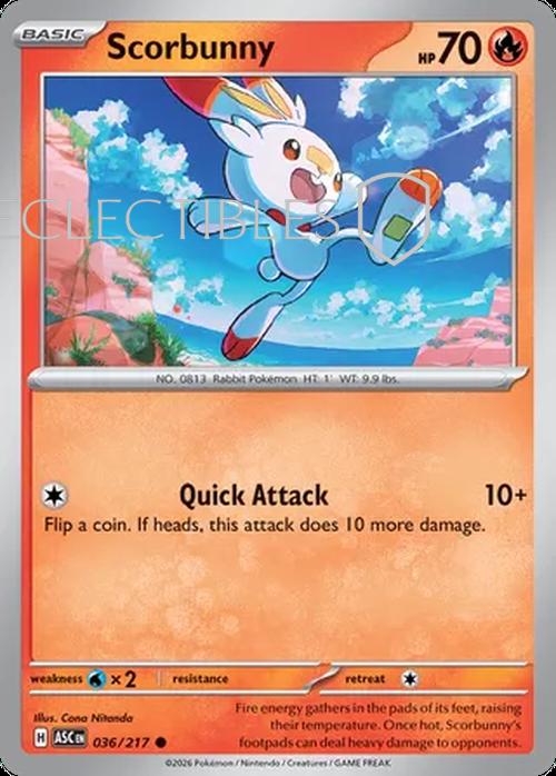Pokemon Ascended Heroes 036/217 Scorbunny  Reverse Holo